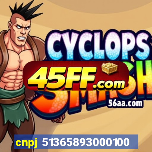 cnpj 51365893000100